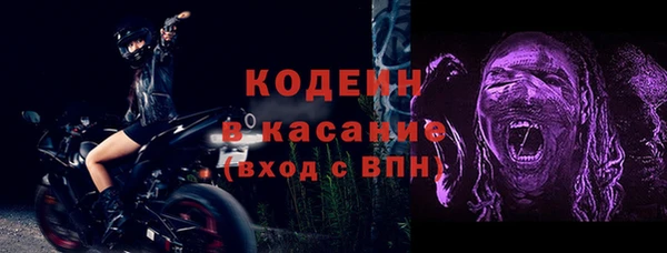 амф Аркадак