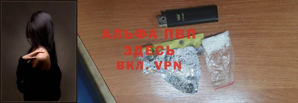 амф Аркадак