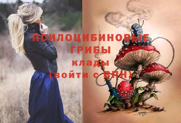 сатива Баксан
