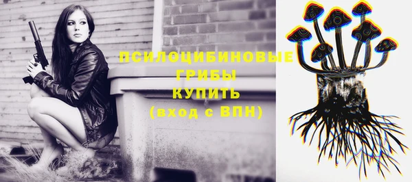 сатива Баксан